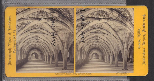 Original stereoview - stereoview, of