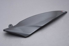 AKRAPOVIC Carbon Right