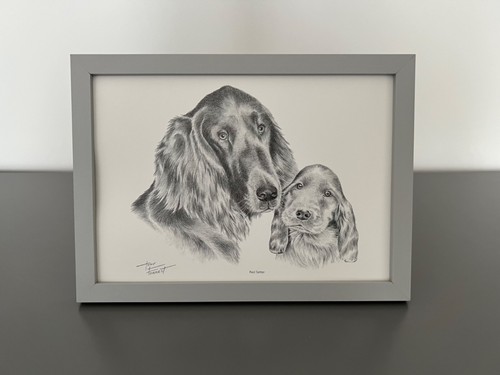 Framed red setter - red, dog