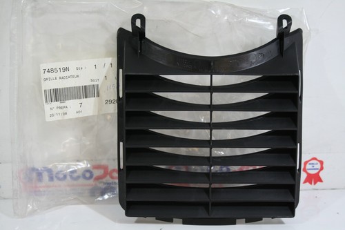 Radiator grid peugeot jet - radiator,