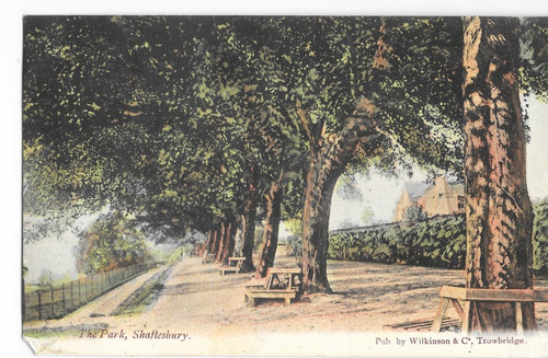 Postcard shaftesbury view - ,