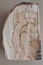Spalted Ash Blank. Wood