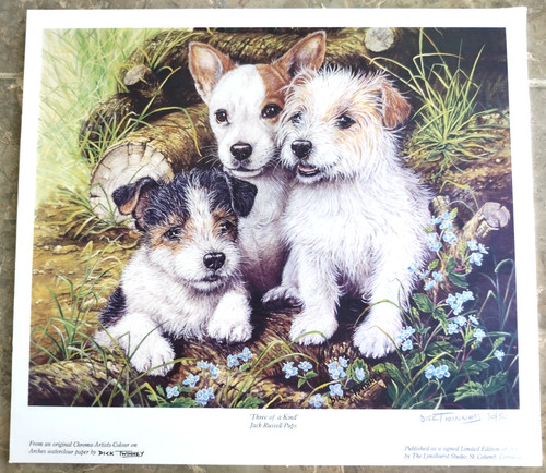 Dick twinney three kind - of, a