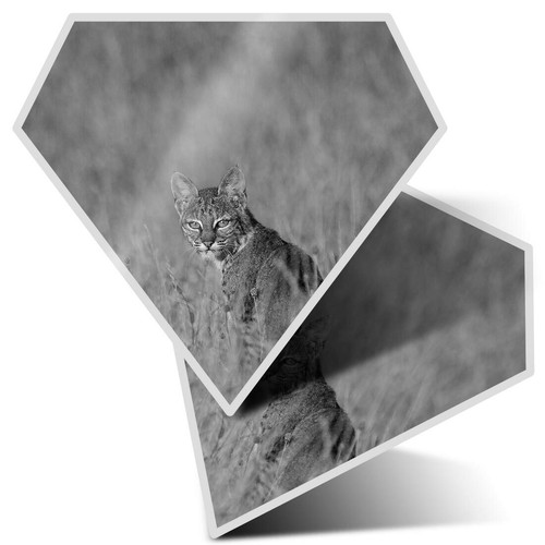 Diamond stickers cm bw - cm,