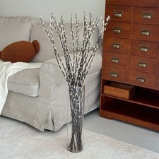 12x Dried Pussy Willow White