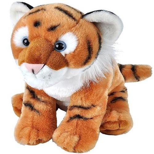 Tiger cub wild - tiger, republic