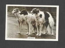 84 YR OLD ORIGINAL BORZOI DOG