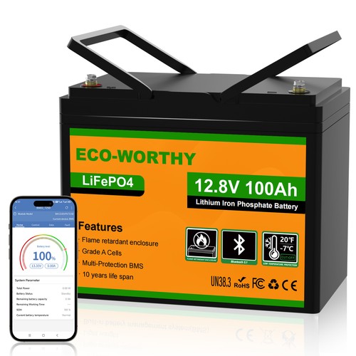 Eco worthy 12v 100ah - 12v, lithium