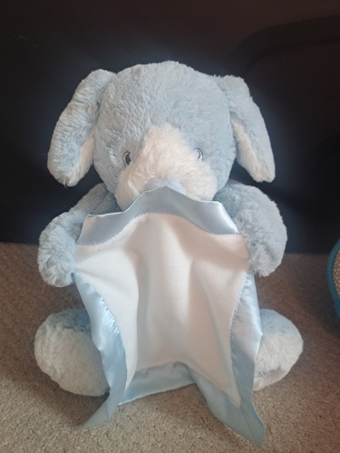 Animated peek boo puppy blue - peek-a-boo,
