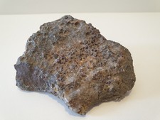 Garnetiferous Gneiss 256g - Rough Raw Uncut Rock / Stone Specimen / Sample