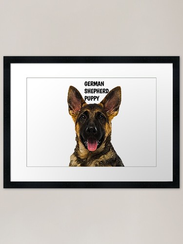 German shepherd puppy framed - puppy,