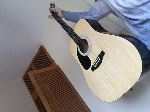 Falcon fg100n acoustic - fg100n, guitar