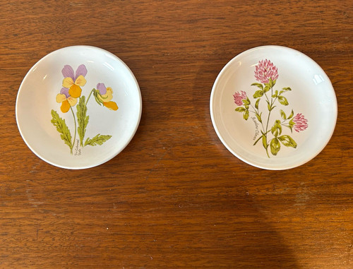 Royal worcester palissy - royal,