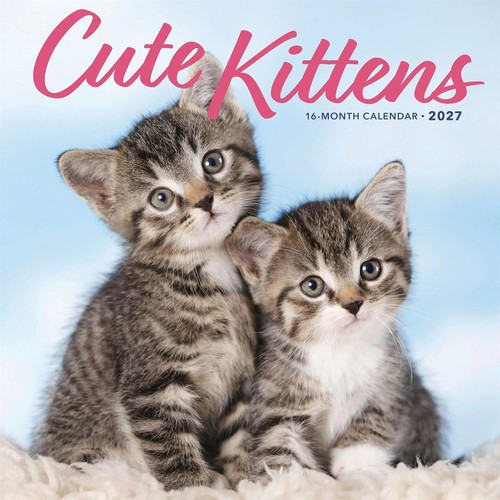 Cute kittens calendar - calendar, 2027