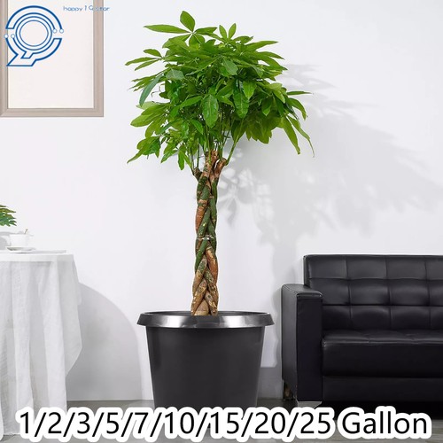 10 15 20 25 gallon - 1/2/3/5/7/10/15/20/25,