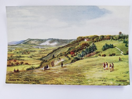 Postcard salmon quinton - salmon, e