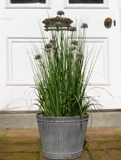 Vintage Style Galvanised Metal