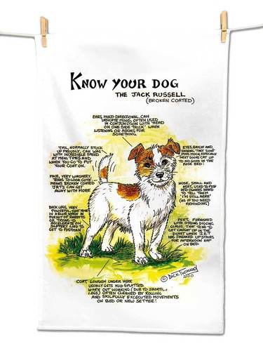 Jack russell tea towel - jack,