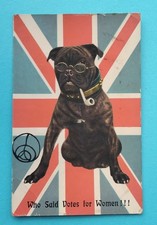 Anti Suffrage Postcard. "Who