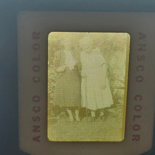 Vintage ansco color 35mm slide - 35mm,