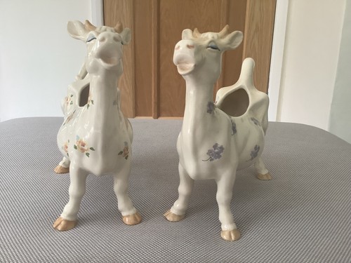 Pair daisy the - pair,