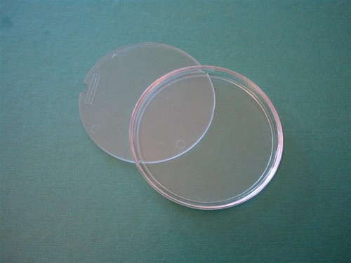 Fifty acrylic clear round - fifty,