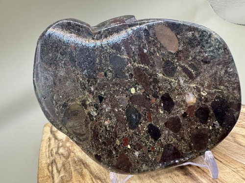 Pudding stone slice polished - pudding,