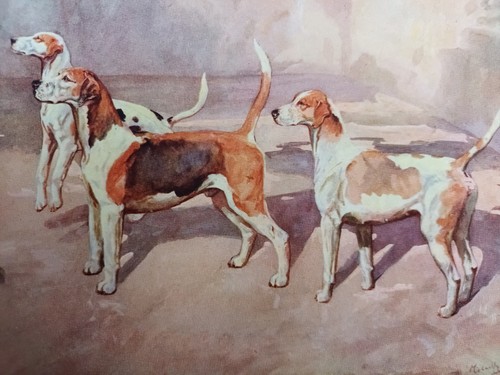 Michael lyne fox hunting - lyne,