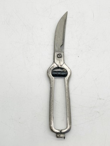 Vintage sorgente poultry - vintage,