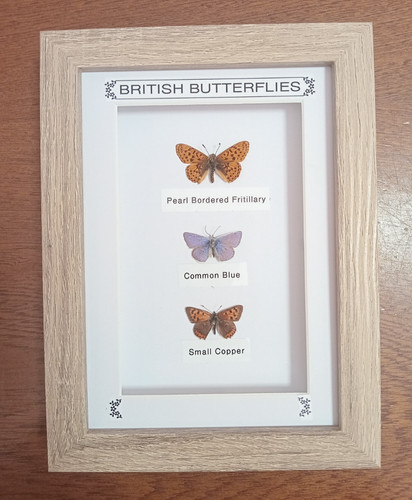 Real framed british - real,