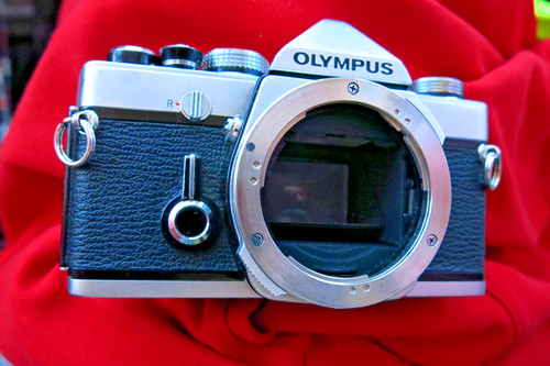 Olympus 35mm slr film - olympus,