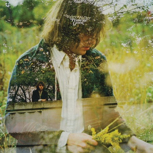 Primrose green audio - primrose,