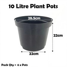 Litre black plant pots - 10,