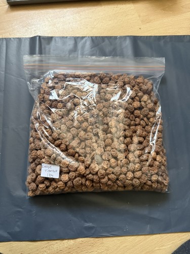 Large tiger nuts 1kg carp - large,