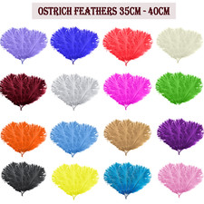 35cm 40cm large ostrich - 35cm-40cm,