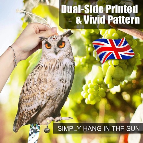 Realistic owl decoy deterrent - decoy,