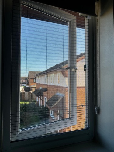 Window insect screen fly - insect,