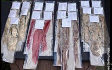 Job Lot Hair extensions 10