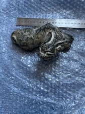 Chinese Carved Stone Lion Dog