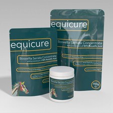 Equicure Boswellia Serrata Concentrate Powder For Horse/Pony