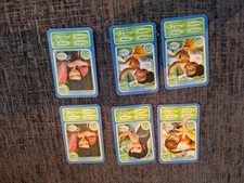 Magical Moments Festical Disneyland Morrisons Disney Fairies Bundle D