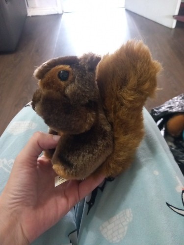 Latimer brown squirel teddy - latimer,