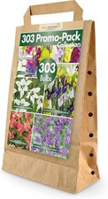 Mixed Summer Flowering Bulbs | 303 Bulbs in 5 Varieties | Bee & Butterfly Friend