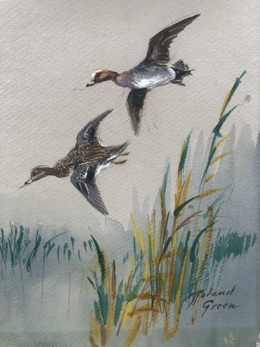Rowland green watercolour - rowland,