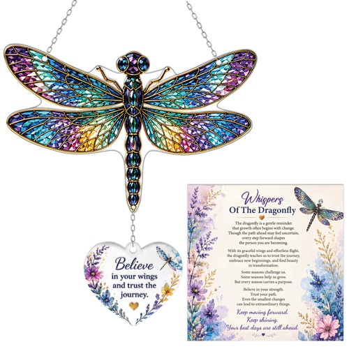 Acrylic dragonfly inspiration - acrylic,