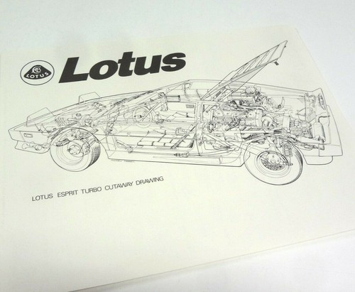 Lotus esprit turbo cutaway - esprit,