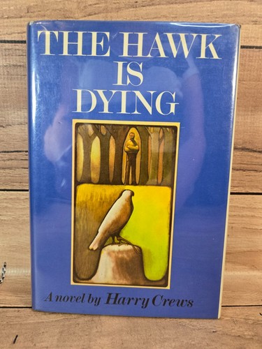 The hawk dying - hawk,