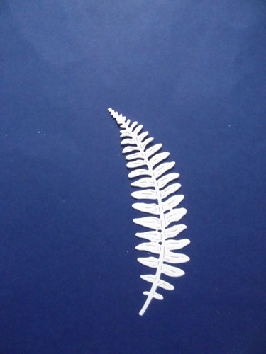 Stephanie weightman fern - stephanie,