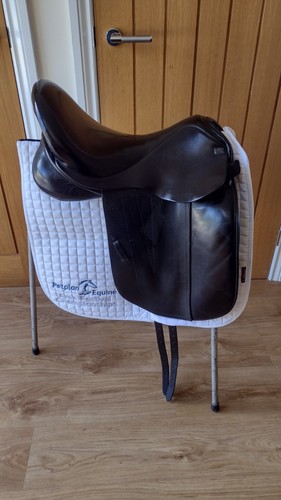 Sue carson harmony - sue, dressage