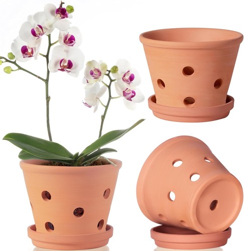 Inch terracotta orchid - inch,